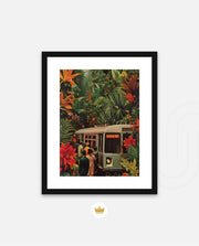Jungle Transit