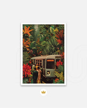 Jungle Transit
