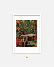 Jungle Transit