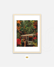 Jungle Transit