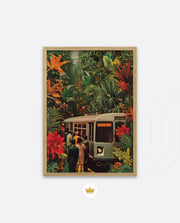 Jungle Transit