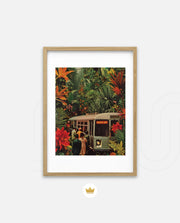 Jungle Transit