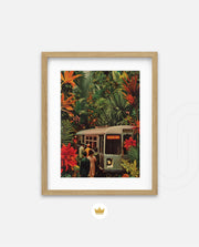 Jungle Transit