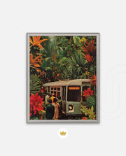 Jungle Transit