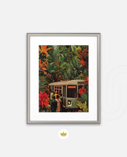 Jungle Transit