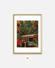 Jungle Transit