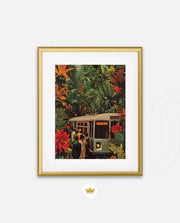 Jungle Transit