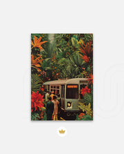 Jungle Transit