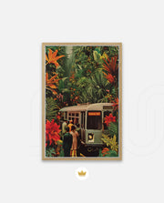 Jungle Transit