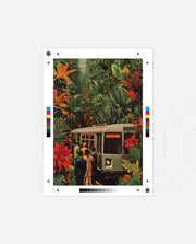 Jungle Transit