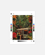 Jungle Transit