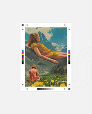 Meadow Dream